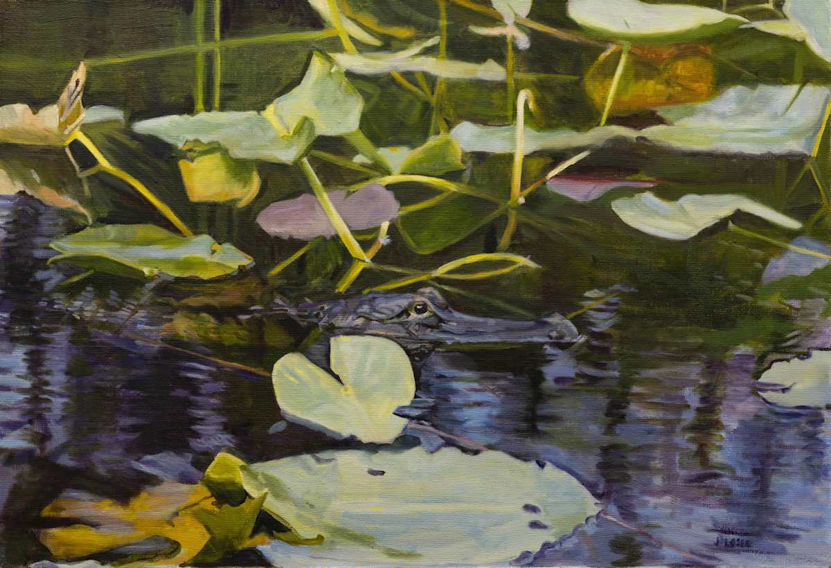 Among the Lilypads by Joan M.Losee, Image 1.