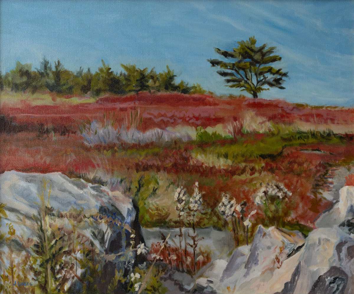 Appleton Ridge by Joan M.Losee, Image 1.