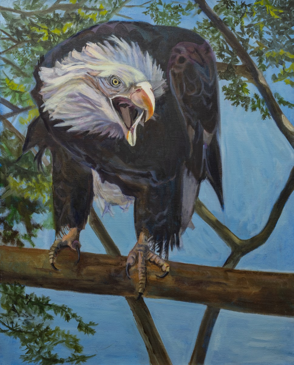 Bald Eagle by Joan M.Losee, Image 1.