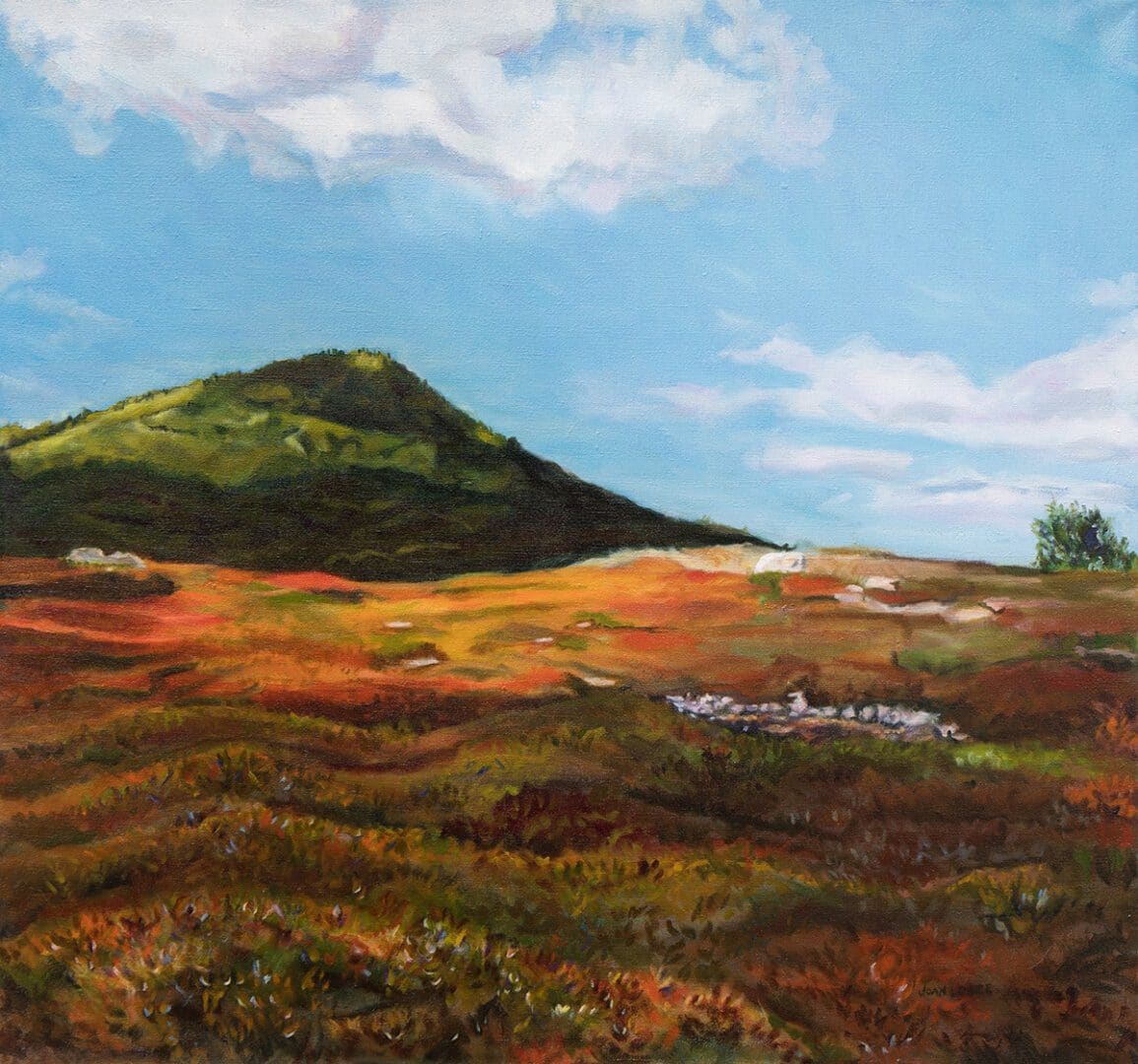 Howe Hill by Joan M.Losee 