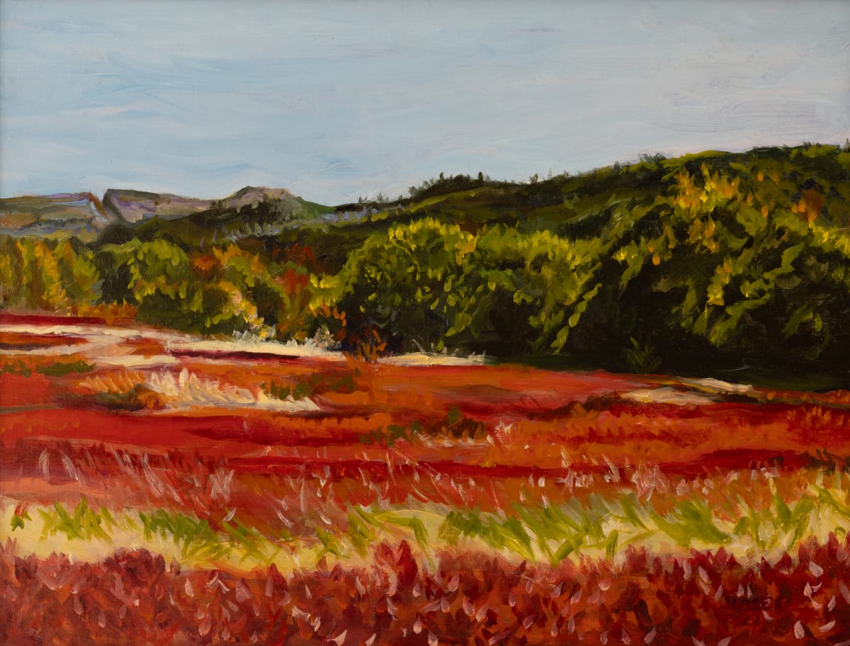 Blueberry Fields in Hope by Joan M.Losee 