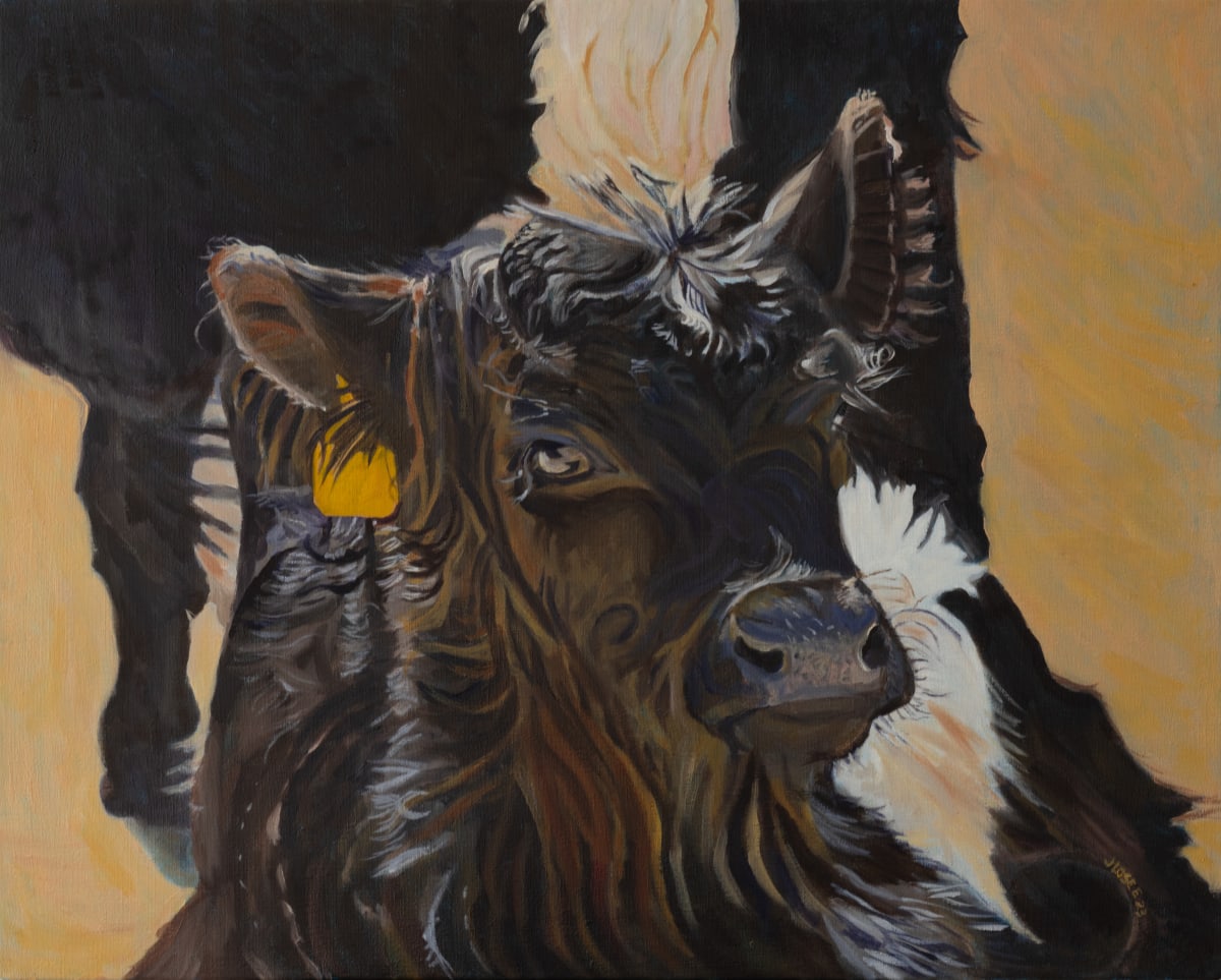 Calf #1 by Joan M.Losee 