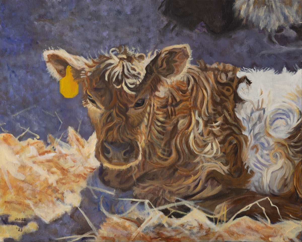 Calf #2 by Joan M.Losee, Image 1.