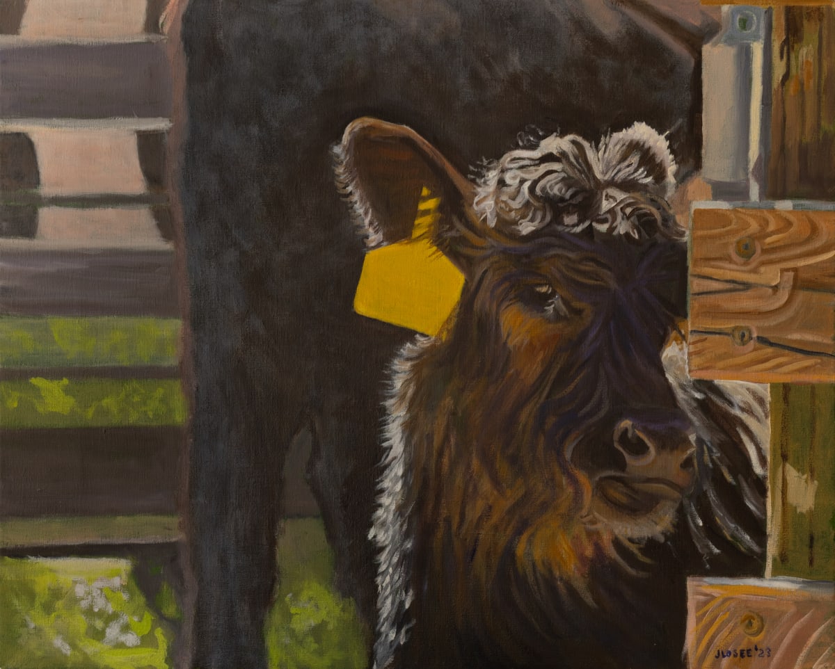 Calf #3 by Joan M.Losee 