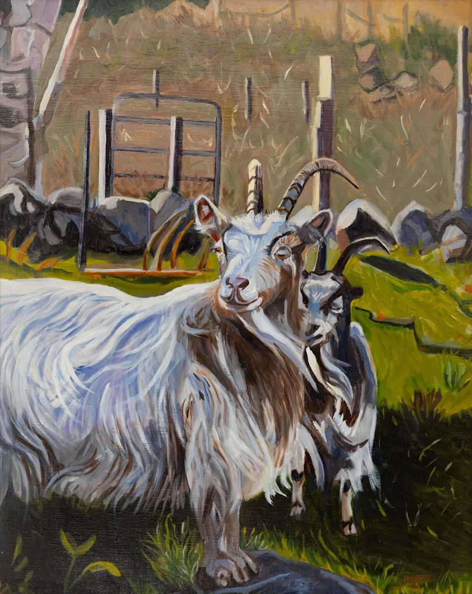 Cashmere Goats Grazing by Joan M.Losee, Image 1.