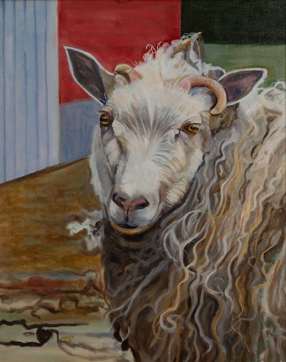 Cashmere Sheep by Joan M.Losee, Image 1.