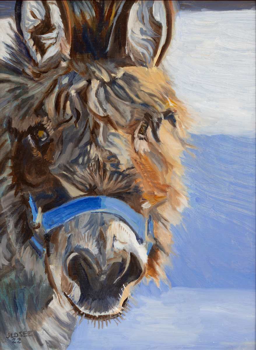 Donkey by Joan M.Losee, Image 1.