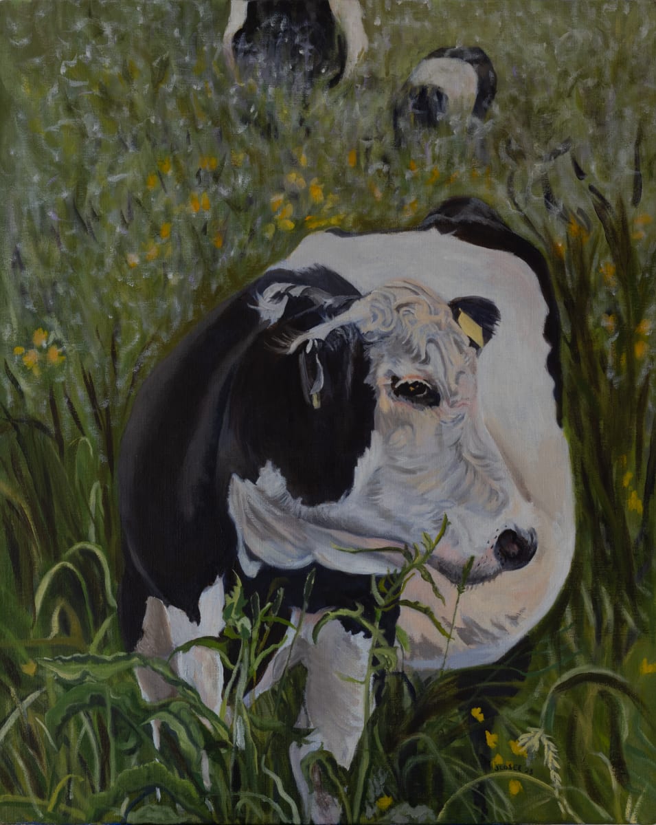 Double Stripe by Joan M.Losee 