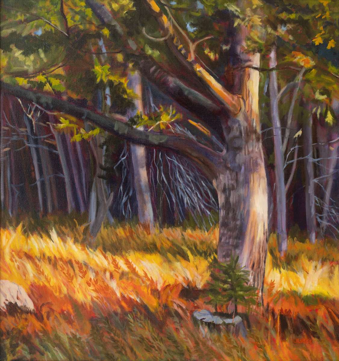 Dusk by Joan M.Losee, Image 1.