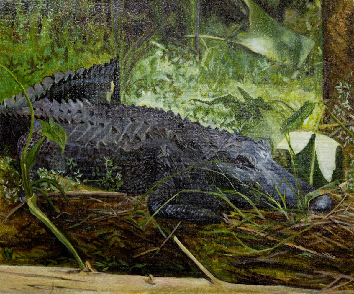 Everglades Resident by Joan M.Losee 