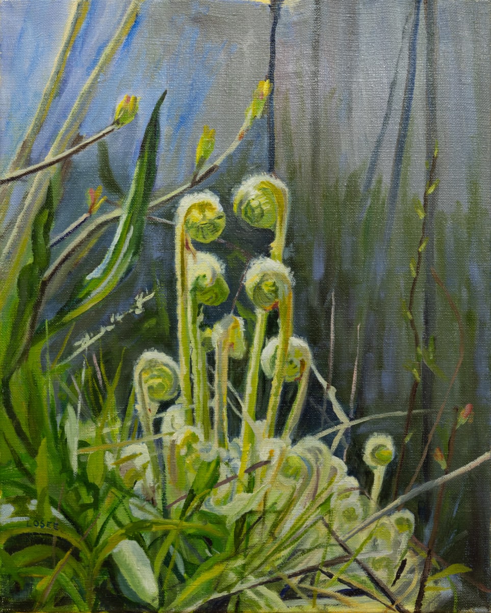 Ferns Unfurling by Joan M.Losee 