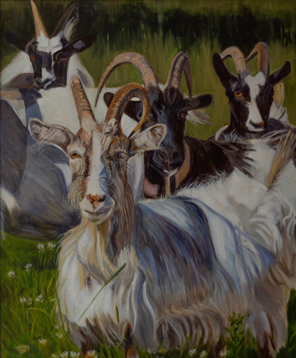 Group of Cashmere Goats by Joan M.Losee 