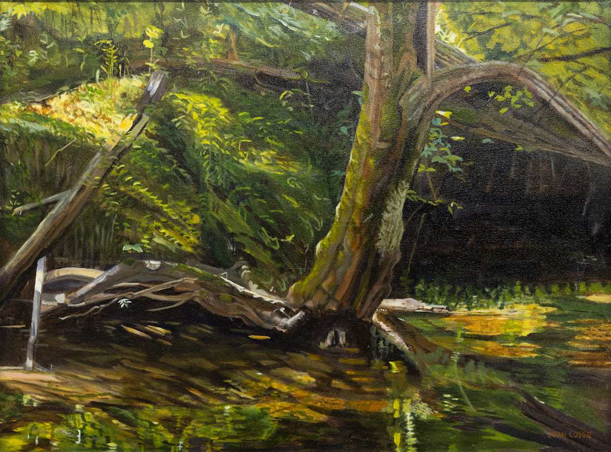 Mystical Wading Pool by Joan M.Losee, Image 1.