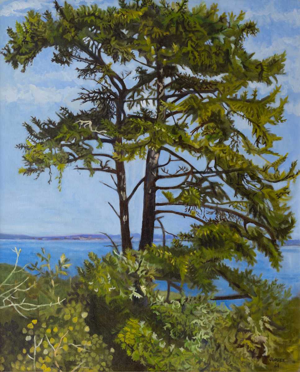 Overlooking Penobscot Bay by Joan M.Losee, Image 1.