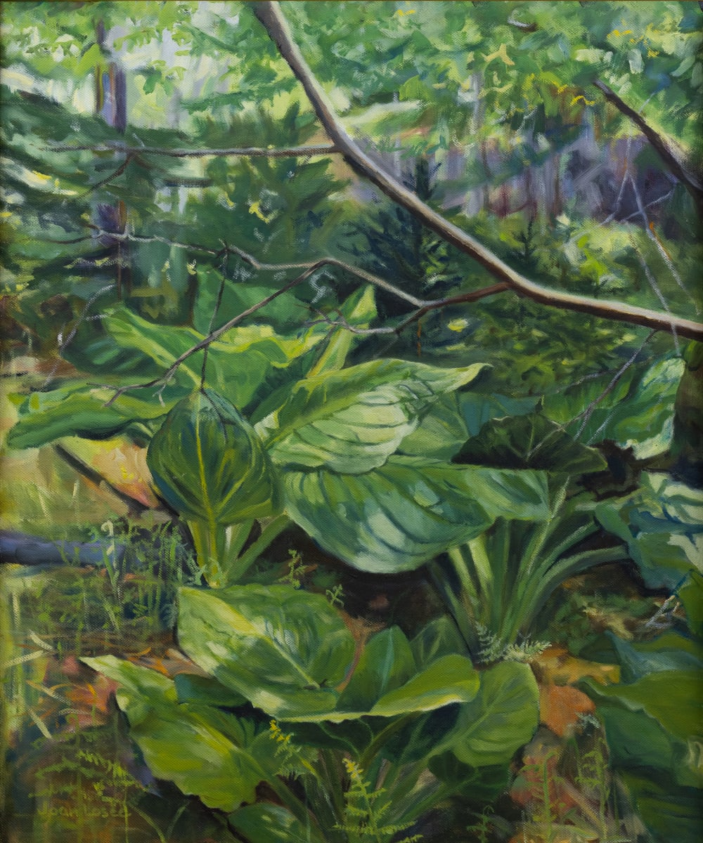 Skunk Cabbage in Spring by Joan M.Losee 