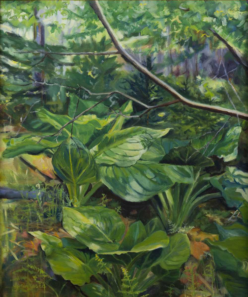 Skunk Cabbage in Spring by Joan M.Losee, Image 1.
