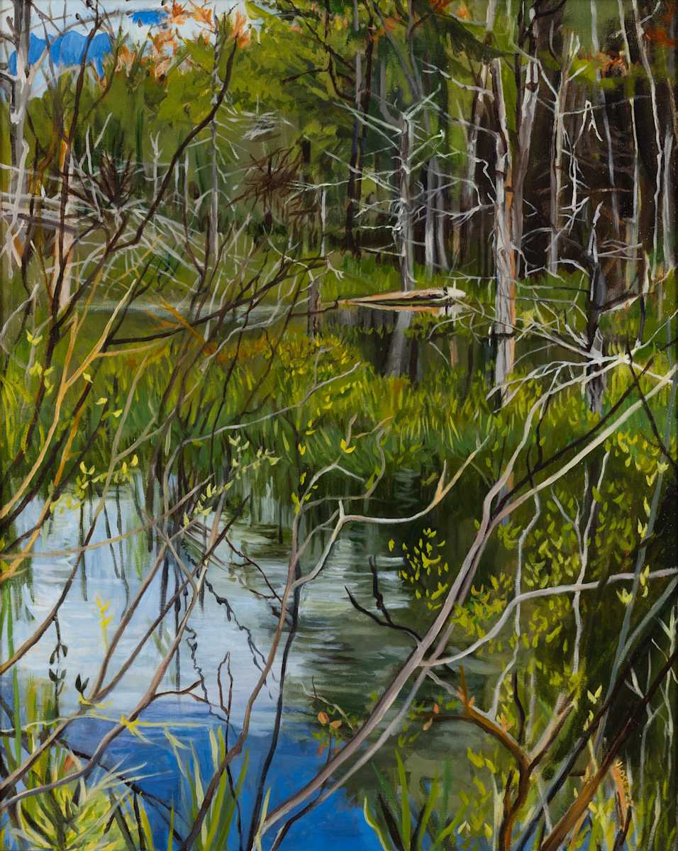 Somerville Swamp by Joan M.Losee, Image 1.