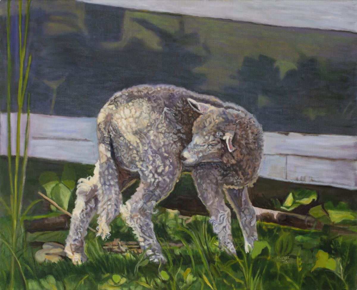 Spring Lamb by Joan M.Losee, Image 1.