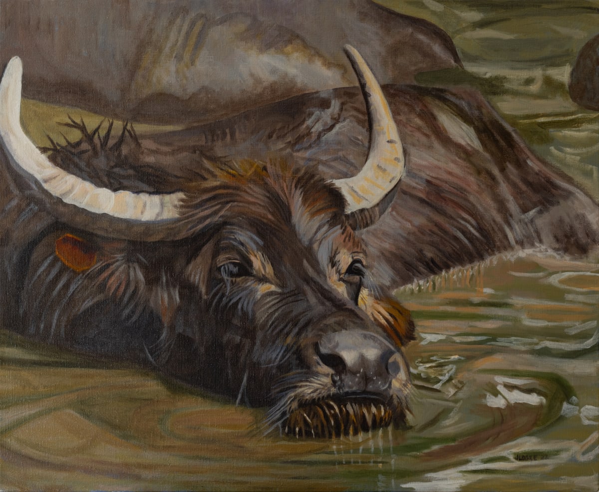Water Buffalo Resting by Joan M.Losee 