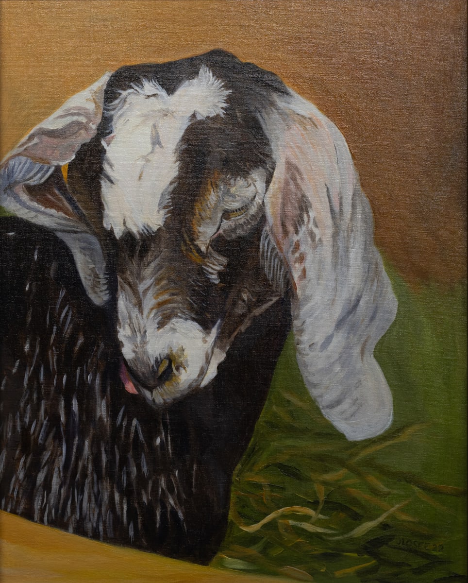 Young Goat by Joan M.Losee 