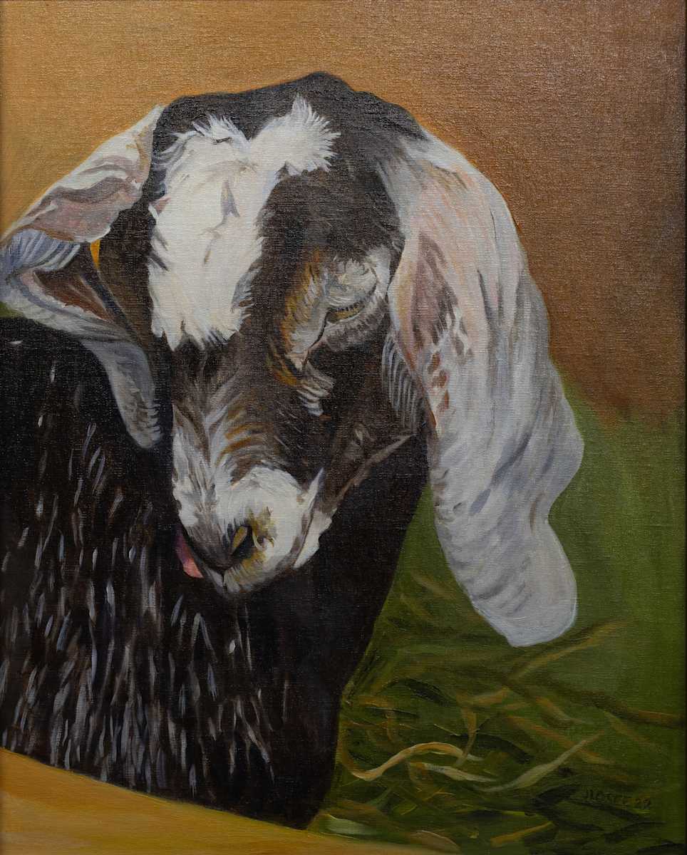 Young Goat by Joan M.Losee, Image 1.