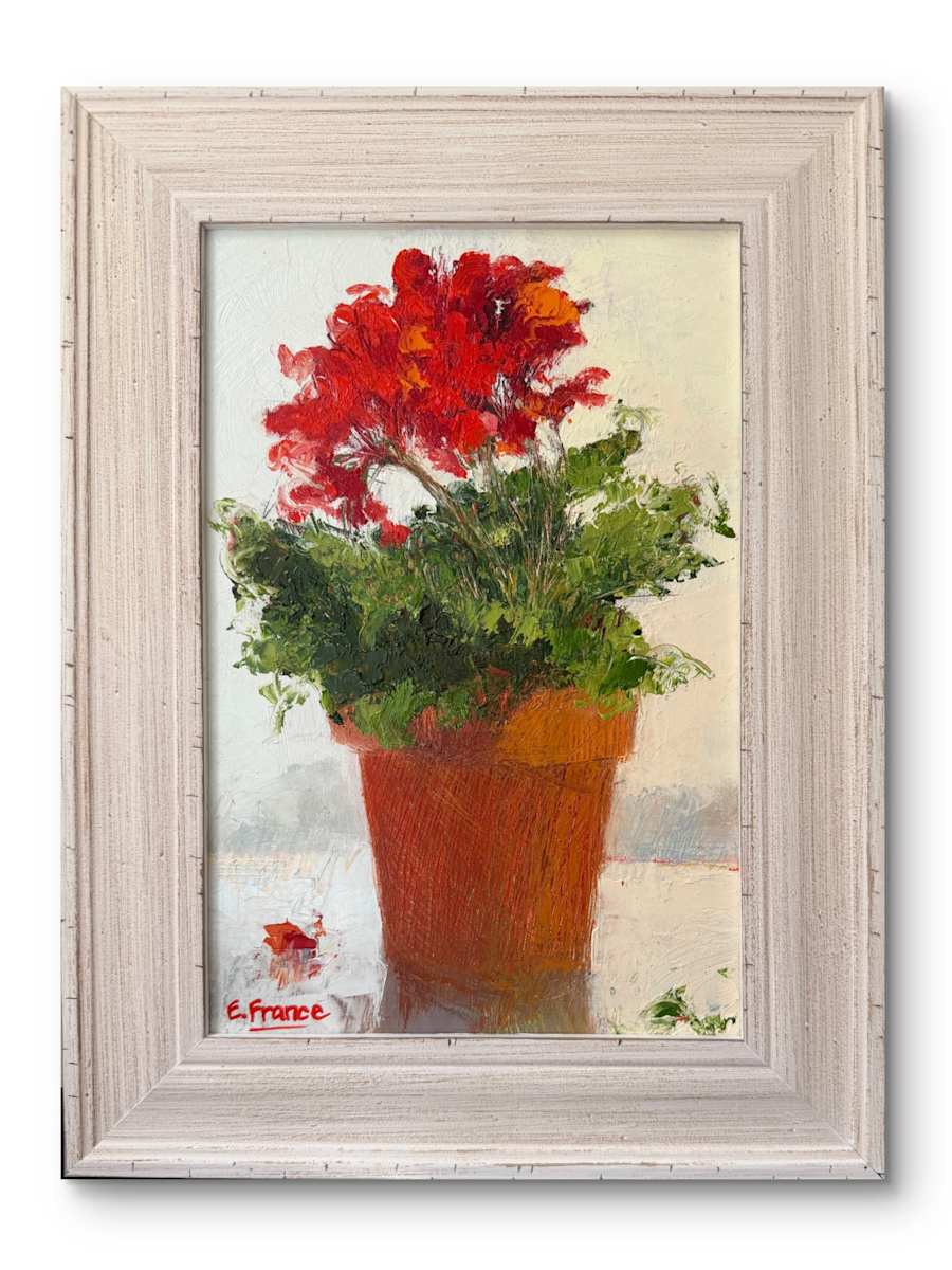 Geranium Calliope by Elle France, Image 1.
