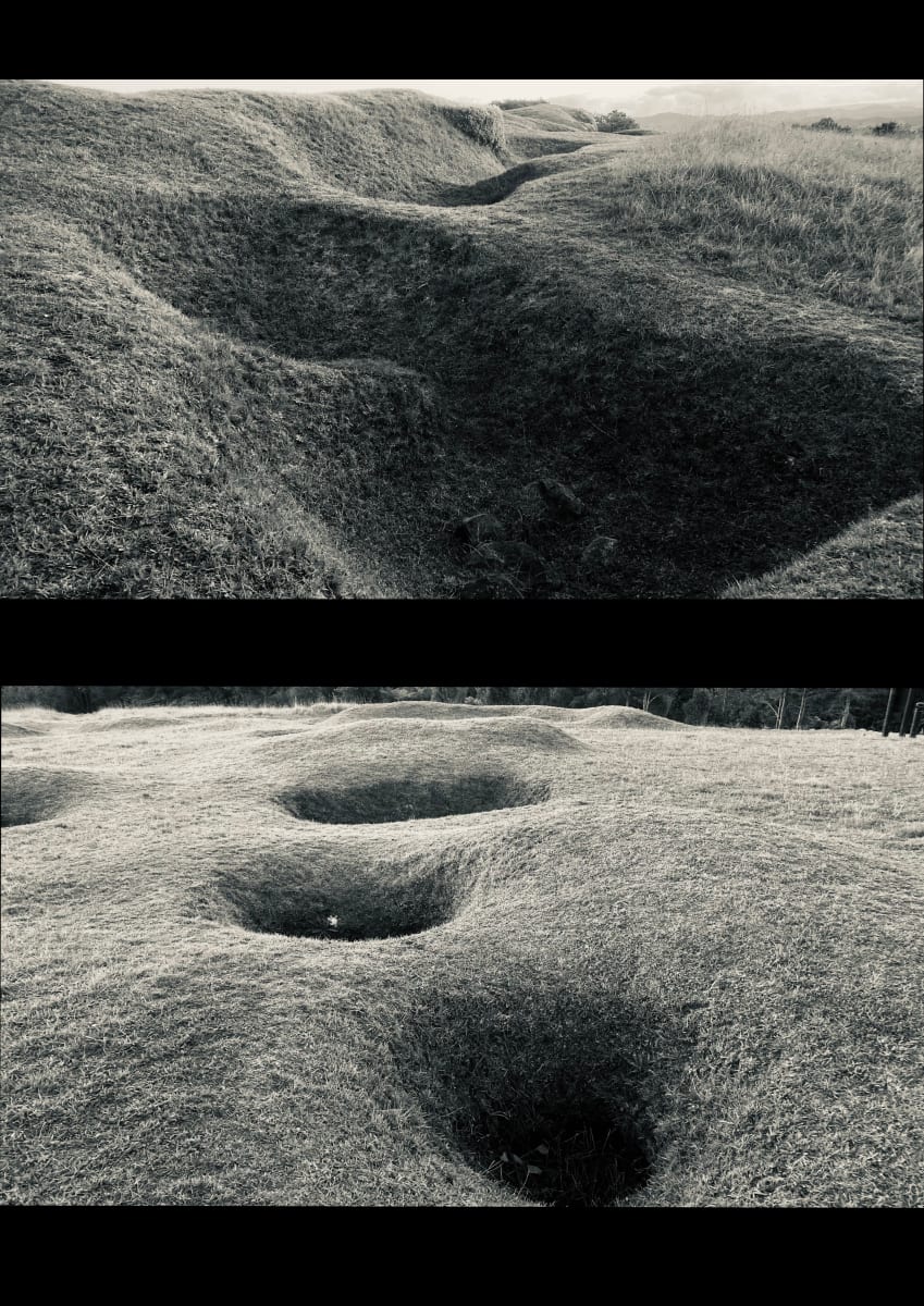 Ko ngā awakari tini, Ruapekapeka, tōnga o te rā, 15 March 2021 by Dr  Rangihiroa Panoho, Image 1.