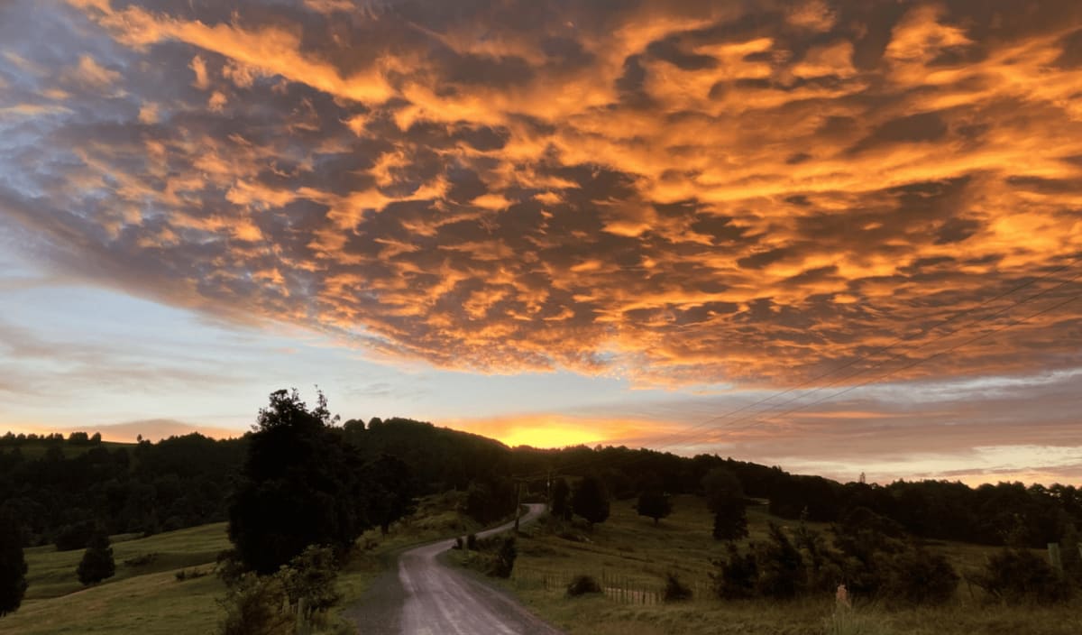 Uira ana te ao mā runga i te Ruapekapeka, ko te atatū, 'the heavens are glowing above Ruapekapeka', 16 March 2021 by Dr  Rangihiroa Panoho  Image: I stayed with my Ngāti Manu whānaunga in Kawakawa in order to drive south to specifically document sunrise over Ruapekapeka. It exceeded expectation. The sky put on an enormous display that hints at the days of explosive sky over the Tapuaeharuru Ranges when the British military began pounding Ruapekapeka Pā, 17 December 1845. There are other photographic images that show the remains of Kawiti's great engineering feat at Ruapekapeka.
