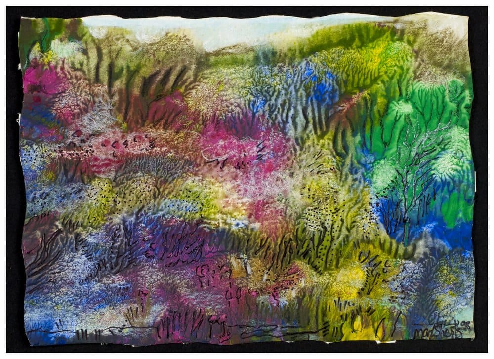 Corals by Christiane Shertz representing Max Shertz  Image: Max Shertz