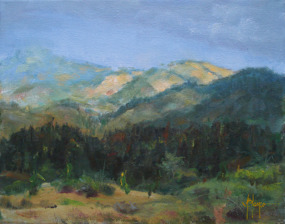 Copalchí by Jeannina Blanco, Image 1.