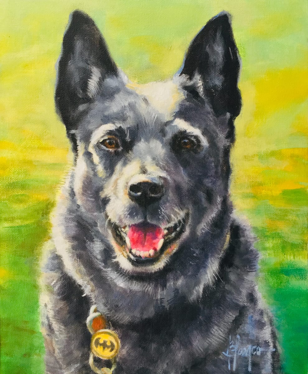 Dingo, Image 7.