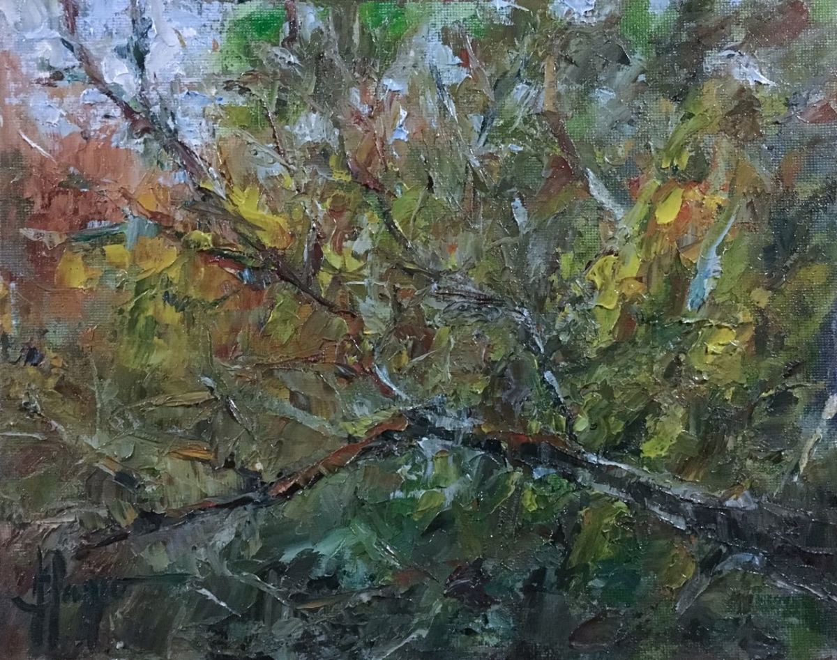 Sunset through my window by Jeannina Blanco, Image 1.