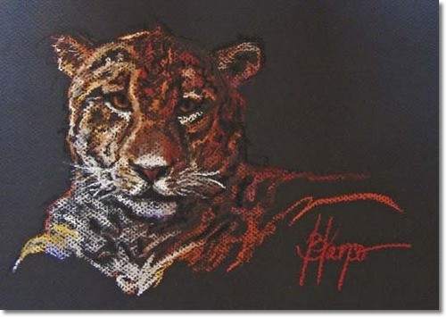 Tiger by Jeannina Blanco, Image 1.