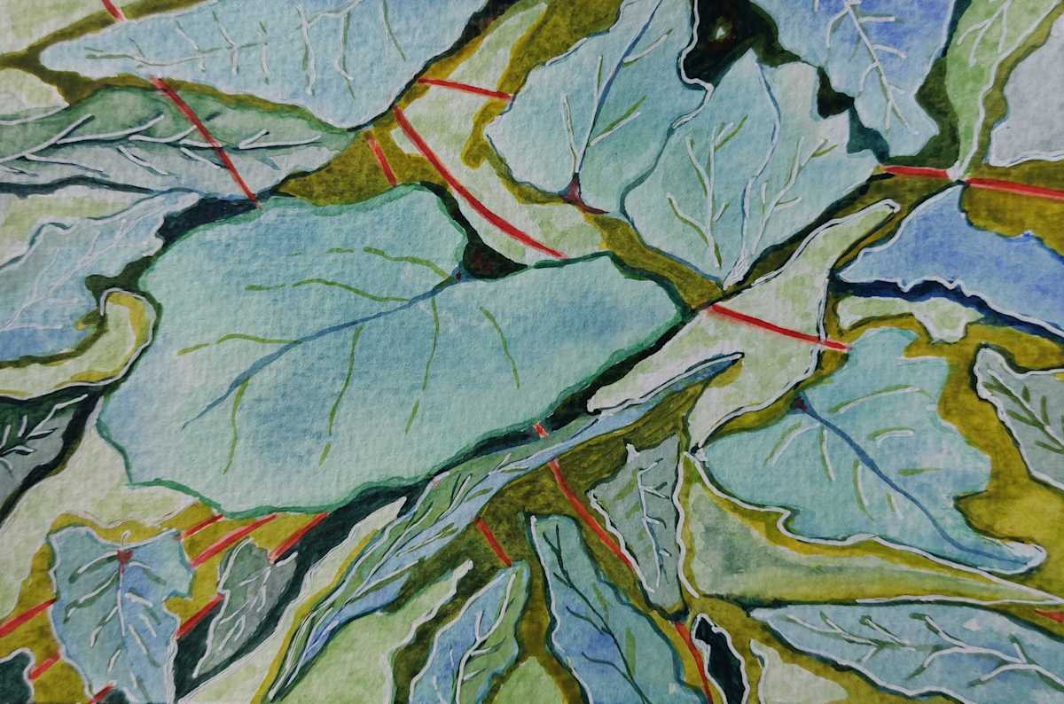 Summer Floral 4 by KJOsborne Artist  Image: Watercolour of blue green leaves in Summer garden