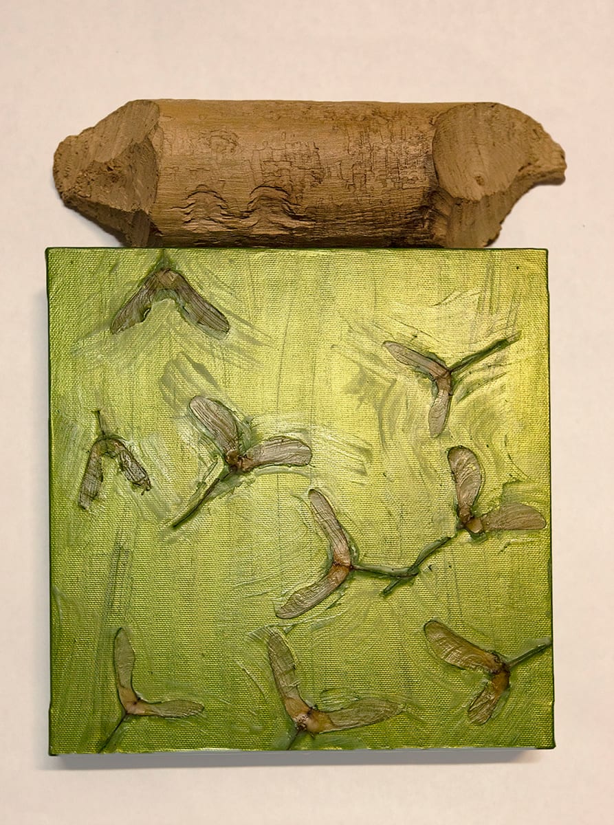 Spring Beaver by Aimee Mattila, Image 1.