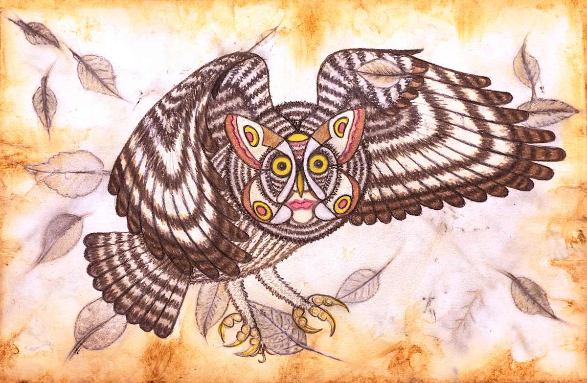 Moth faced Owl by Artist Aimee J, Image 5.