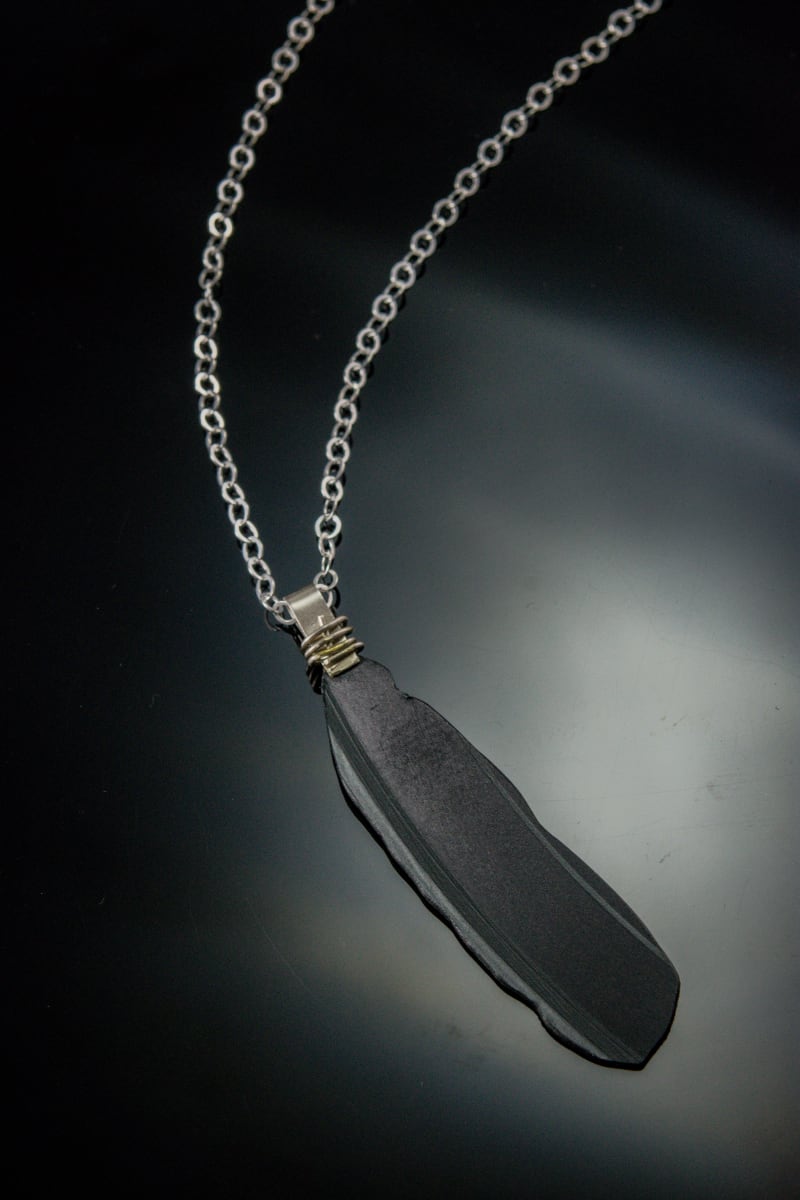 Crow Feather by Aimee Mattila 