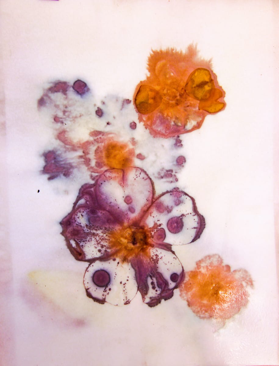 Botanical Roses by Aimee J Art Studio  Image: Roses,  eco-dyed botanical print