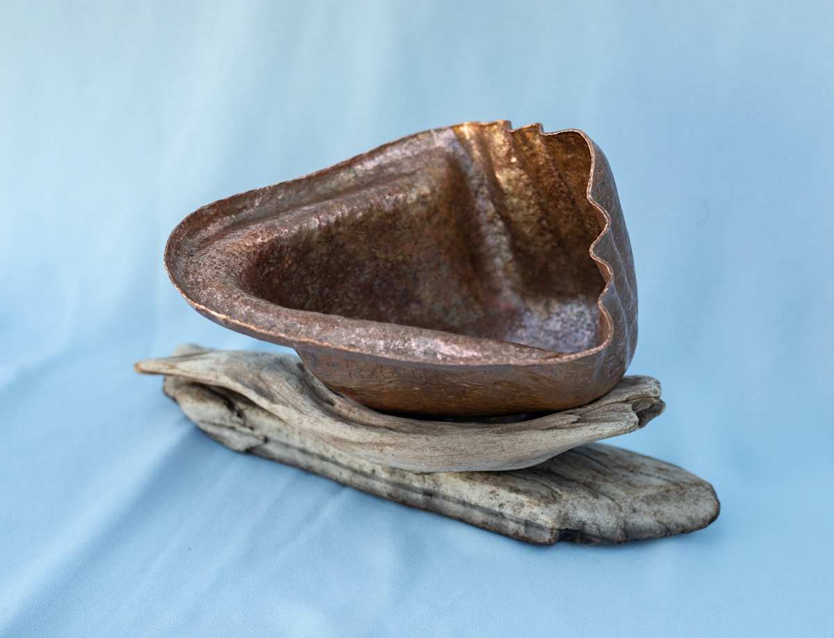 Sea Shell Form by Artist Aimee J, Image 1.