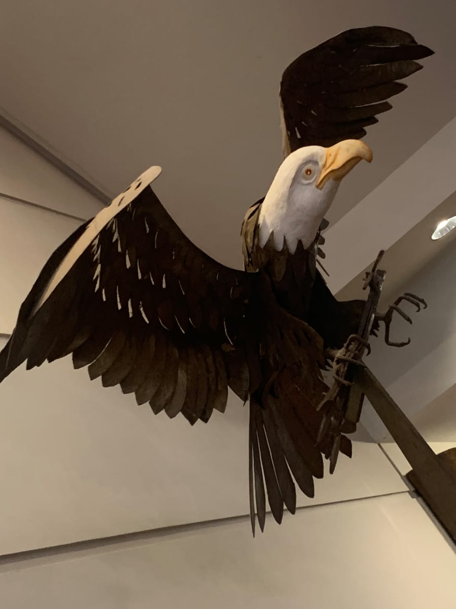 Central Park Bald Eagle by Jorge Luis Rodriguez (American, 1944- ) 