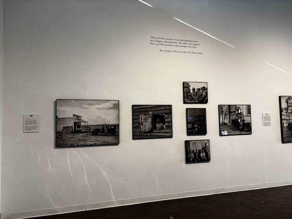 Exhibition Image