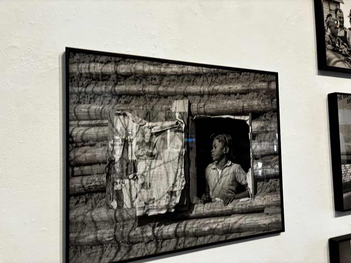 Exhibition Image