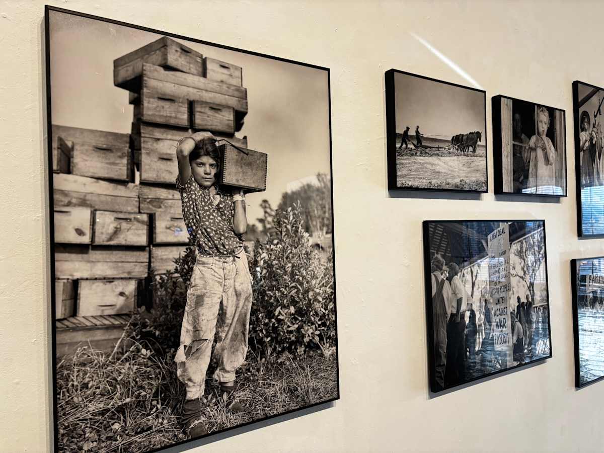 Exhibition Image