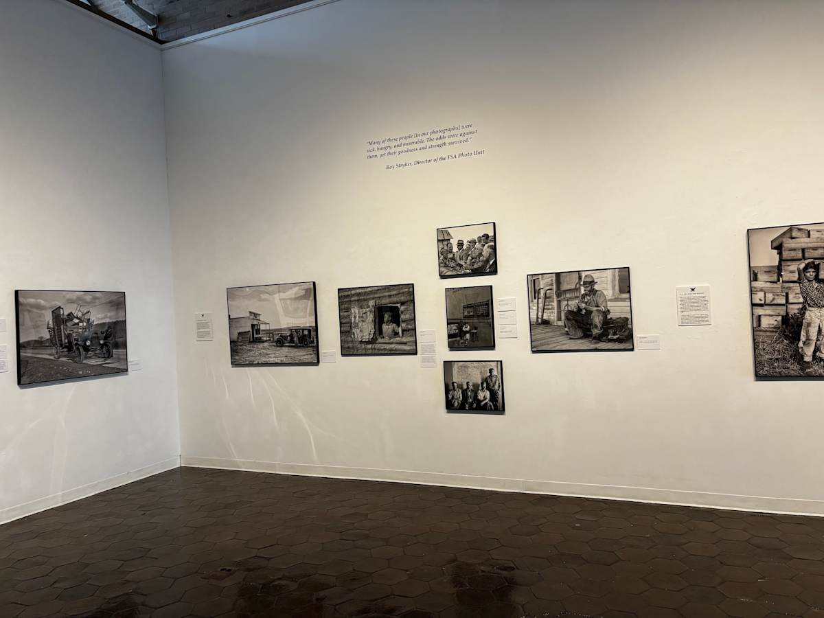Exhibition Image