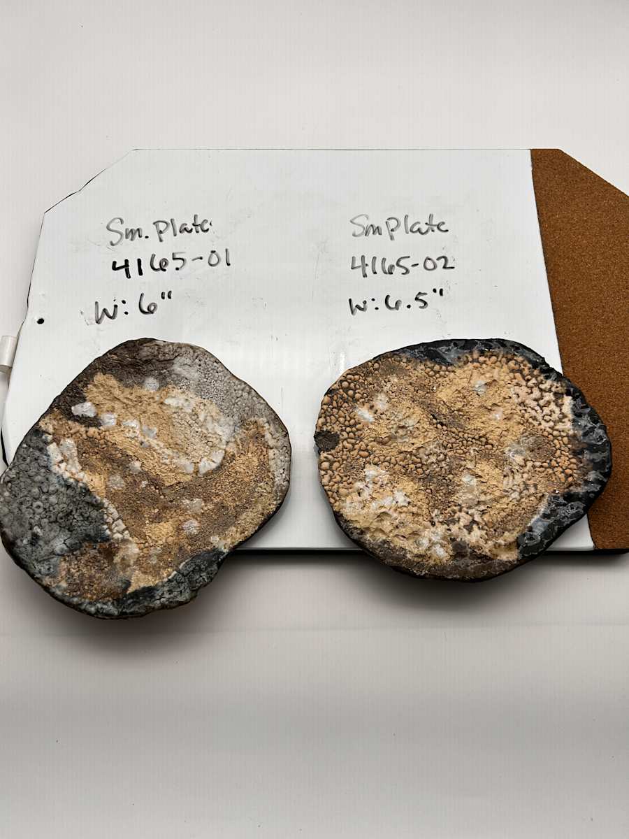 Decorative Plate by Rumiko "Rumi"  Tsuda Estate, Image 1.