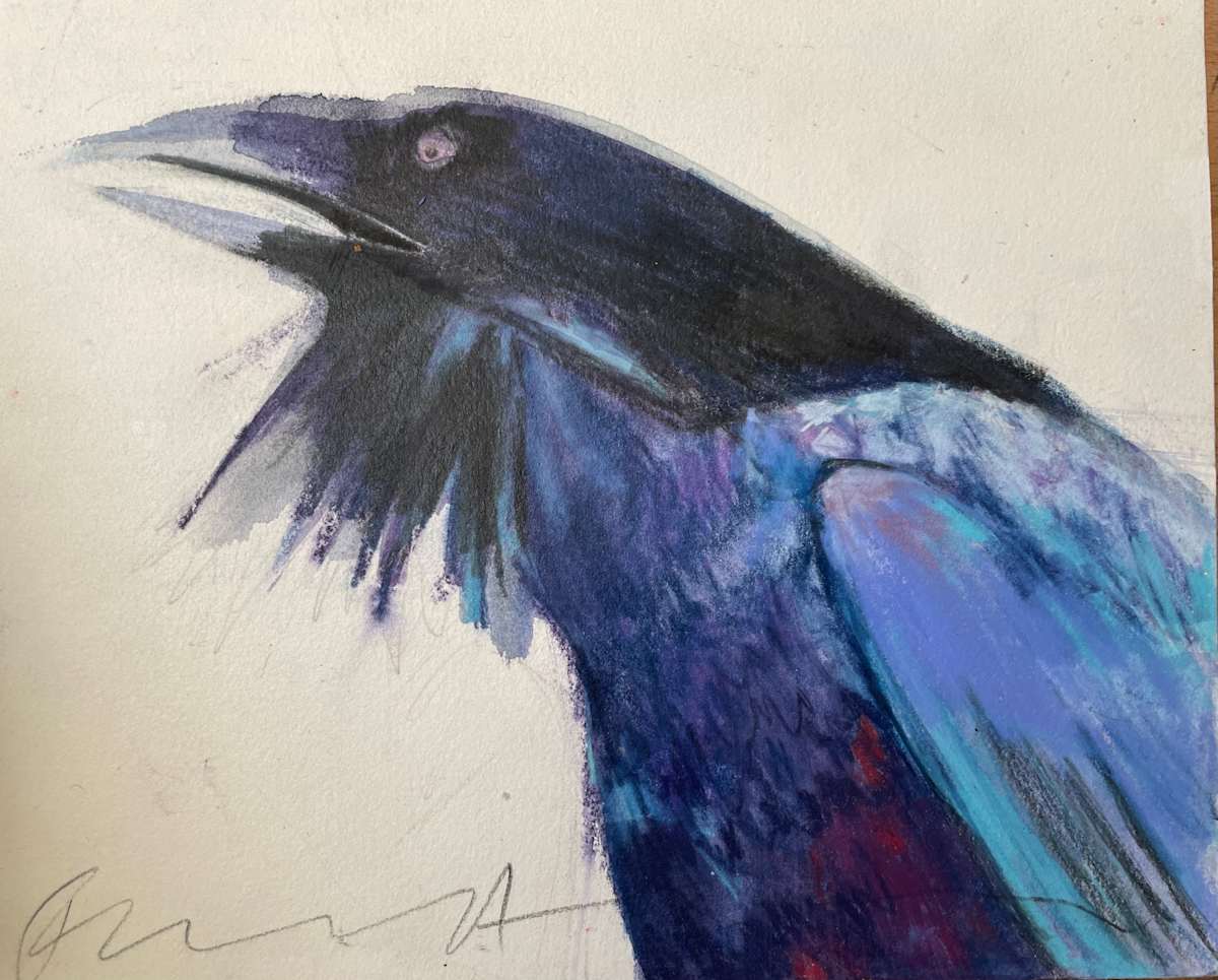 Blue  crow by Jeanne Goodman 
