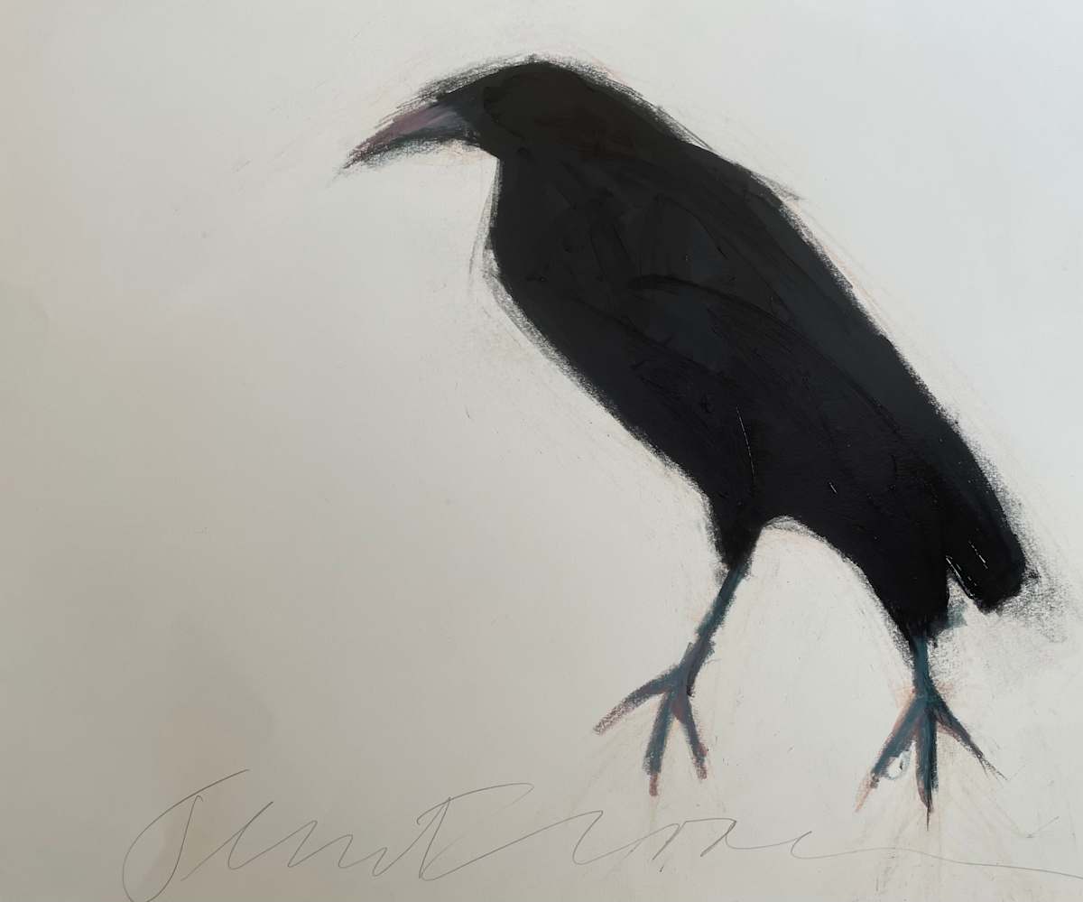 Raven looking left by Jeanne Goodman, Image 1.