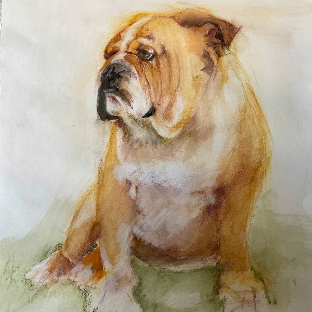Bulldog sitting by Jeanne Goodman  Image: Bulldog sitting