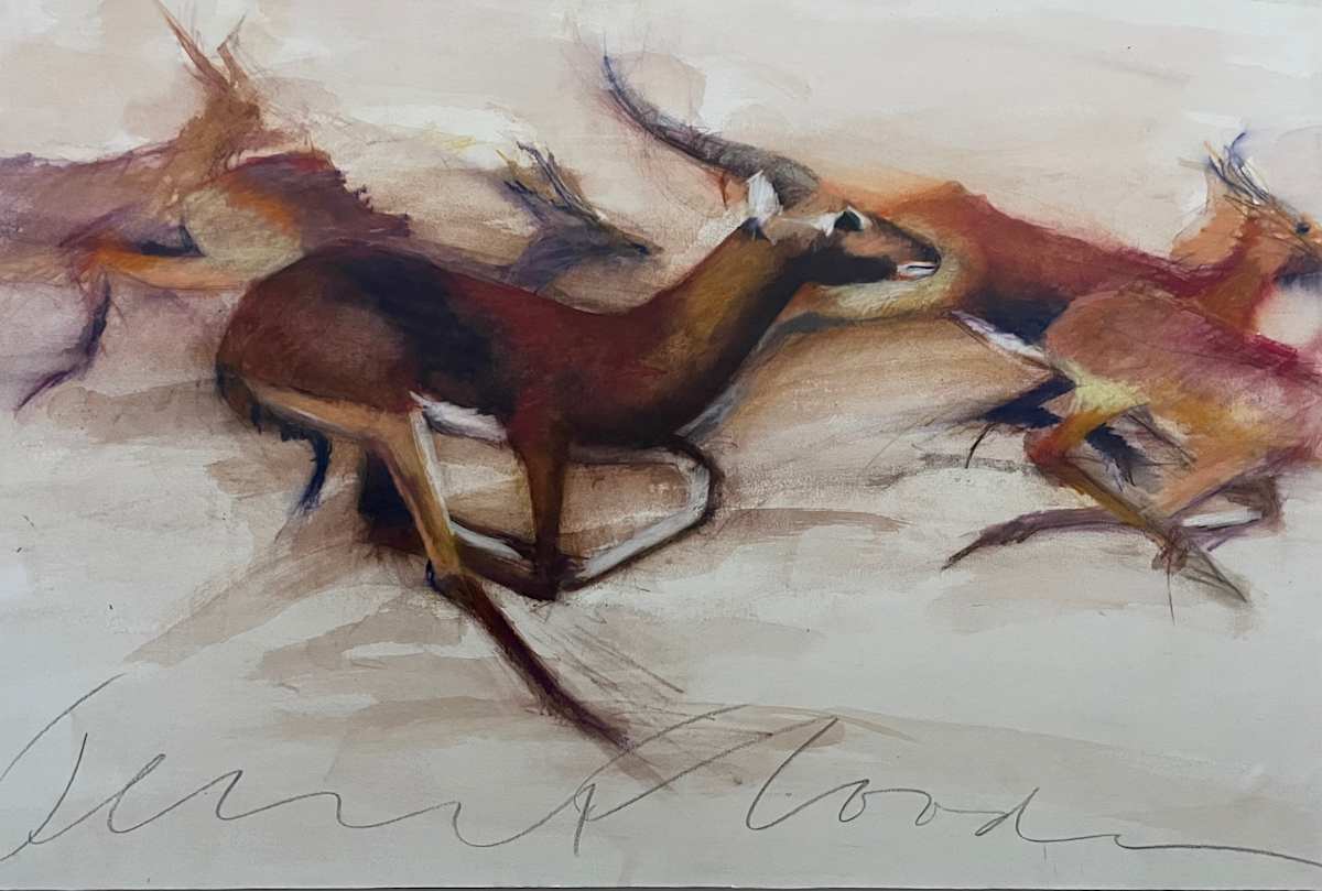 Antelope Running by Jeanne Goodman 