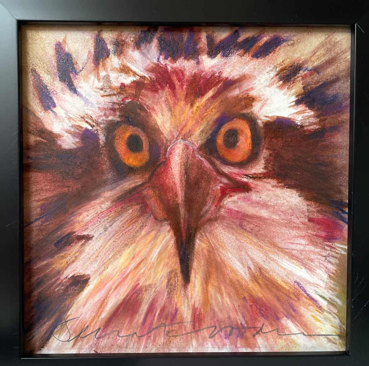 Osprey portrait by Jeanne Goodman, Image 1.
